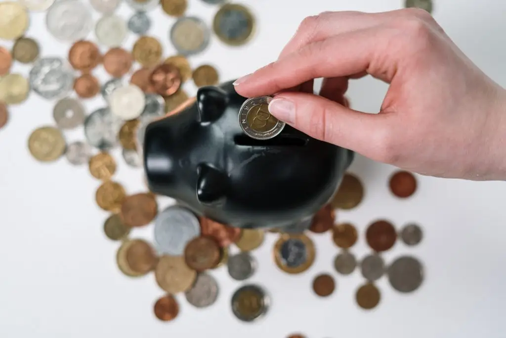 reorganizar suas finanças